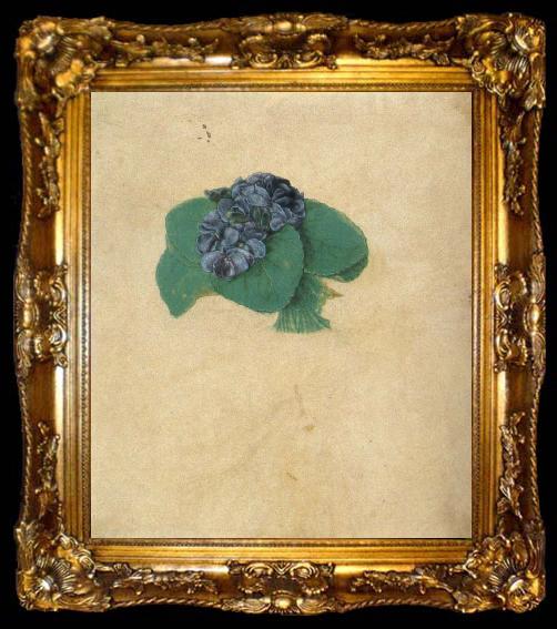 framed  Albrecht Durer A Nosegay of Violets, ta009-2